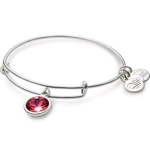 Alex and Ani Pink Gem Silver Bangle